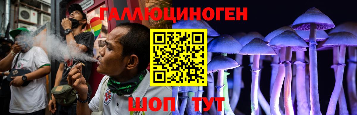 Галлюциногенные грибы Cubensis Михайловка